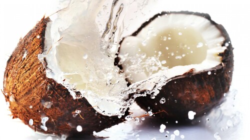 coconut 7680x4320 8k 15339