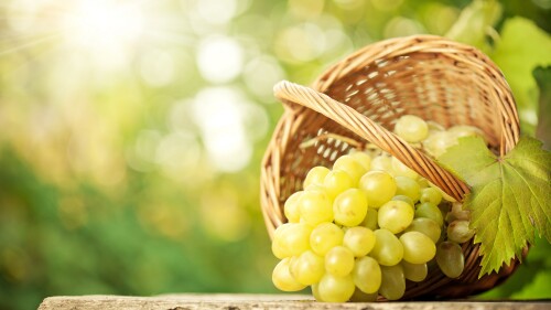 grapes 7680x4320 8k 15356