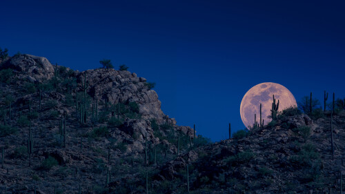 20230406@亚利桑那州空中的粉月亮 月亮升起，图森，亚利桑那州，美国 UHD