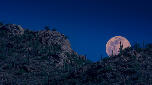 20230406@亚利桑那州空中的粉月亮 月亮升起，图森，亚利桑那州，美国