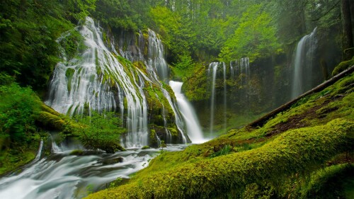 20220510@拥有6000年历史的大森林 春天的豹溪瀑布，吉福德·平肖国家森林，美国华盛顿州