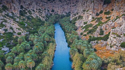 20220708@值得一去的魅力峡谷 普雷维利峡谷里的河流和棕榈树森林，希腊克里特岛