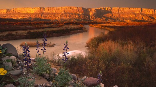 20220612@奇瓦瓦沙漠中的一处偏远绿洲 大弯曲国家公园的塞拉庞塞和格兰德河边的悬崖，美国得克萨斯州