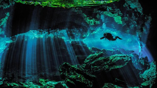 20220624@地面之下的水中世界 潜水员探索文图拉斯港附近的水下天然井，墨西哥