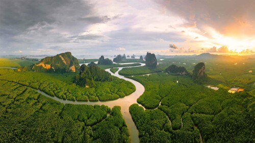 20220629@在热带，陆地与海洋热情相拥 攀牙湾安达曼海的红树林，泰国