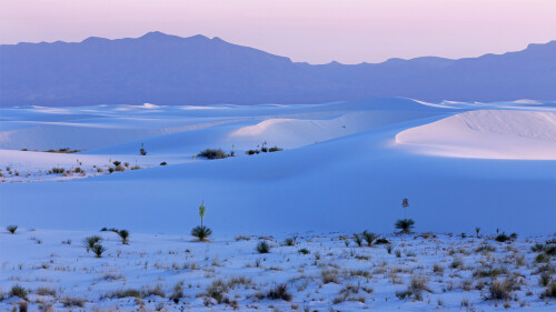 20230118@世界最大的石膏沙漠 白沙国家公园，美国新墨西哥州