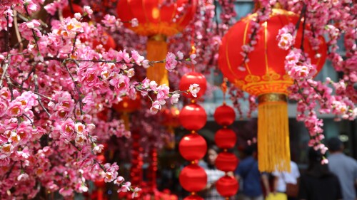 20230122@春节快乐，兔年大吉！ 春节的桃花和红灯笼 UHD