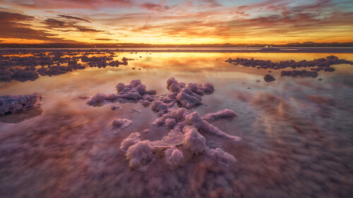 20230725@粉红色，很好看 托雷维耶哈潟湖，阿利坎特，西班牙 UHD