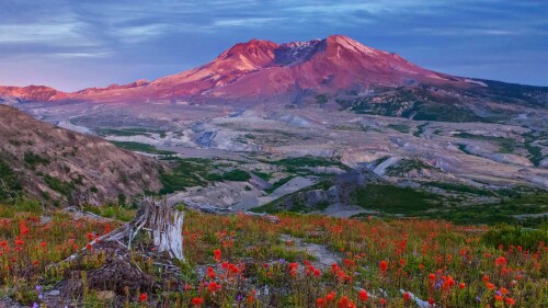 20220827@40年的休养生息 圣海伦斯山国家火山纪念区的边界小径，美国华盛顿州