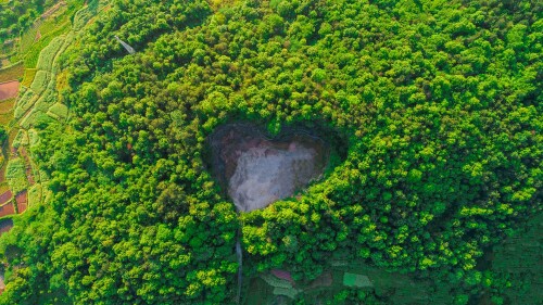 20220804@最浪漫的中国传统节日 上海浦东森林心形洞穴鸟瞰图，中国