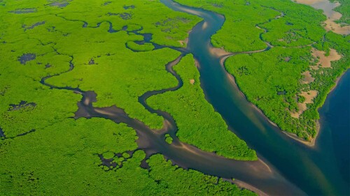 20220925@匆匆而逝的河流 亚马逊河鸟瞰图，巴西