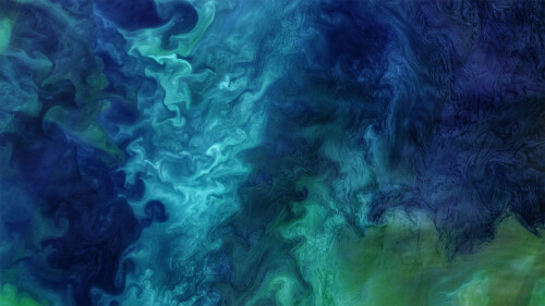 20221009@什么生长得这样茂盛？ 楚科奇海的浮游植物水华，美国阿拉斯加州海岸附近