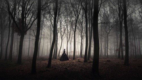 20221031@是谁躲在这令人毛骨悚然的树林里？ 牛津郡韦奇伍德森林的树，英国